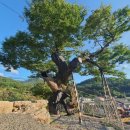 오동마을 이미지