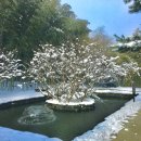 죽관메원 이미지