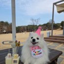 [진료직 직무교육] 의료원 6주차 후기