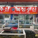 대천항수산시장 이미지