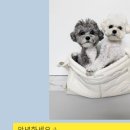 퍼피가든 이미지