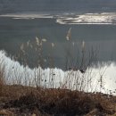 평거동 강변둔치 파크골프장 | 출근길에,남강둔치,파크골프,토박이 말(진주시)