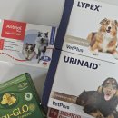 라이펙스 이미지