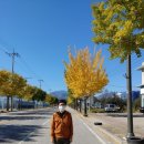 해맞이공인중개사사무소 이미지