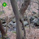 장고개공원 이미지