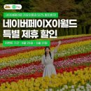 [리뷰] 대구 이월드: 튤립 트래블 야간 방문 후기