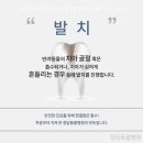 상아동물병원 이미지