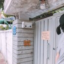춘천동주