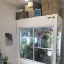 핌플라워 | [ 마산 양덕동 플라워샵 / 마산 합성동 꽃집 / 꽃다발 픽업 후기 ] 핌 플라워 샵