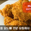 토탈치킨