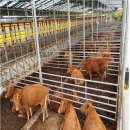 다인농장 이미지