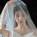 로아나블랑 이미지