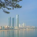 민원해결전문 행정사합동사무소 이미지