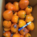 남구-038 이미지