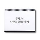 디앤피