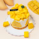 오컴커피 | 일산 화정 베이커리 카페 오컴올 베이커리 하우스 — 소금빵부터 수제 조각케이크까지 솔직 후기
