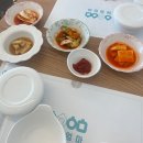 신엄중학교 | 제주 애월 해장국 맛집 "애월엄마"에서 한치물회까지 먹은 솔직후기
