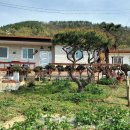 생태민박 이미지