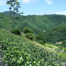 인한농장 이미지