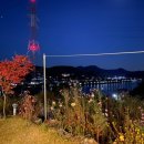 수니앤팬션 이미지