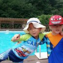 티하우스키즈펜션 네이버블로그
