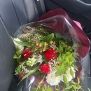 중도매인51호 | 엄궁꽃시장 내돈내산 꽃다발 추천 51호 그린화원