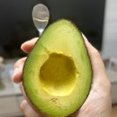 다온그루밍 | 서울역 차병원 시험관동결 5일배아 이식 후 후기 (이식일~10일차)