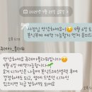 쥬레아플라워