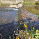 구계1리 이미지