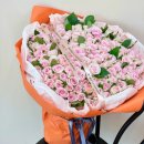 사파동100 이미지