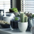 자연과치유 이미지