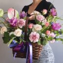 사파동365 이미지