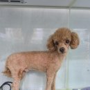 미장남로 이미지