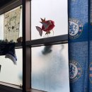 흥덕마을 5단지 사거리(베스킨라빈스) | 첼로그 : {방탈출포레스트 - 청계산 간나들}