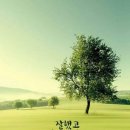 형통