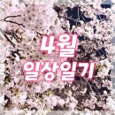 2025) 4월 우당탕 일상 일기💛 (✿◡‿◡)