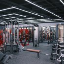Y-GYM 이미지