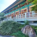 사시마을 | 충주 석종사 여행 충주 가볼만한 사찰, 석종탑과 고즈넉한 산사 풍경