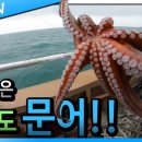 주니앤피플 이미지