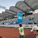 공설운동장 사거리 | 🌙 2025 단양 달빛레이스 후기 – 달빛과 함께한 10km, 그리고 단양의 맛