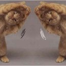 참편한마취통증의학과의원 이미지