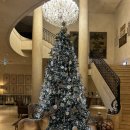 별과 함께 | 라움아트센터 2025 살롱음악회 SALON de RAUM, 별과 함께 하는 밤