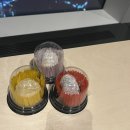 (23주 임산부) 23주 임산부 일상