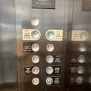 이누인 | 충주 켄싱턴 리조트, 애견동반 호텔 - 펫파크