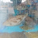 명물식당 이미지