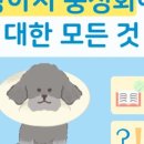 수색동물병원 이미지