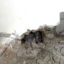 희망약국 이미지