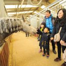 파크여관 이미지