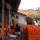 자원농장 이미지