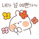 성북-장위-4311 이미지